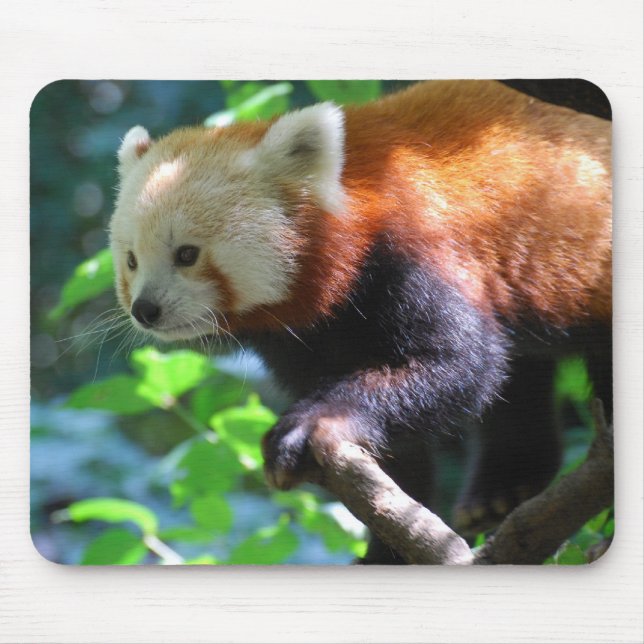 Customise Product Mouse Pad (Front)