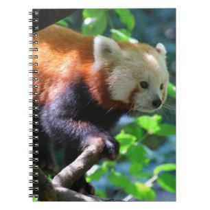 Customise Product Notebook