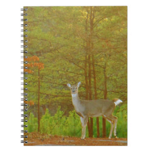 Customise Product Notebook