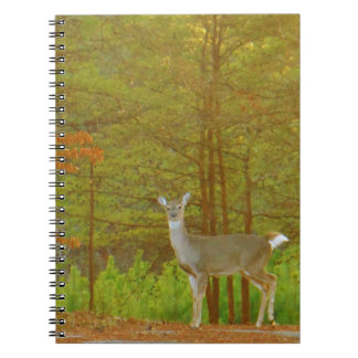 Customise Product Notebook