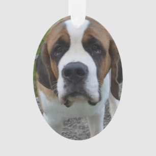 Customise Product Ornament