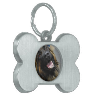 Customise Product Pet Name Tag