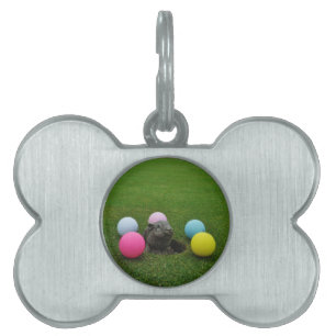 Customise Product Pet Name Tag