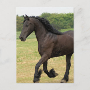 Customise Product Postcard