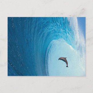 Customise Product Postcard