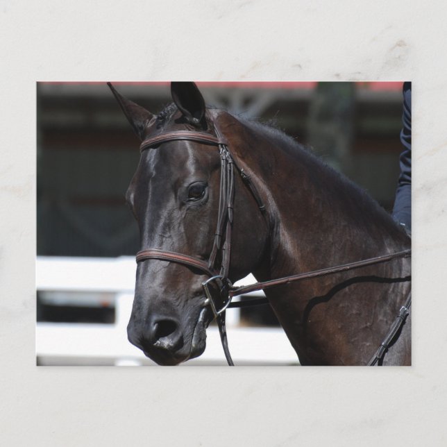 Customise Product Postcard (Front)