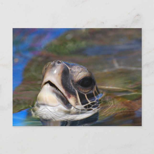 Customise Product Postcard (Front)