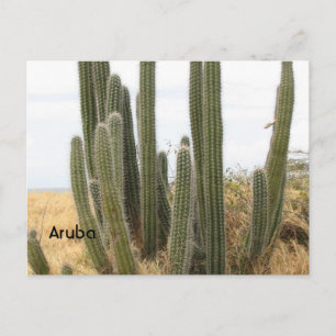 Customise Product Postcard