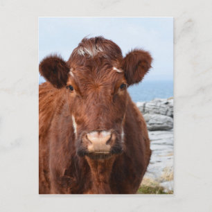 Customise Product Postcard