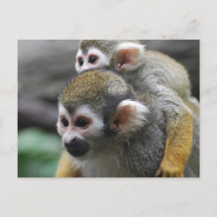 Customise Product Postcard