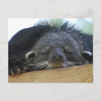 Customise Product Postcard