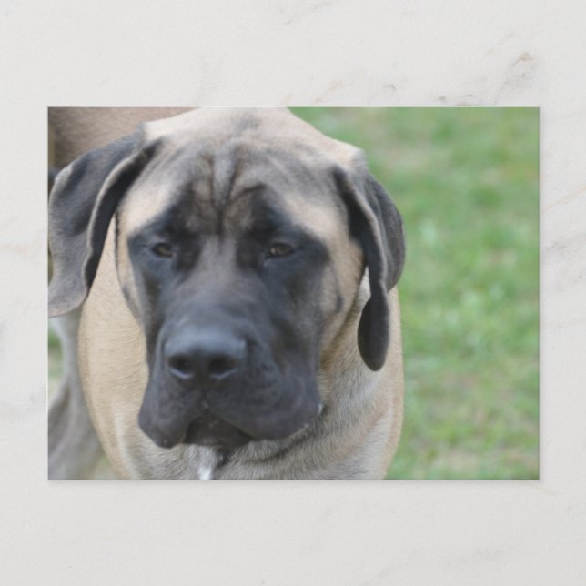 Customise Product Postcard (Front)