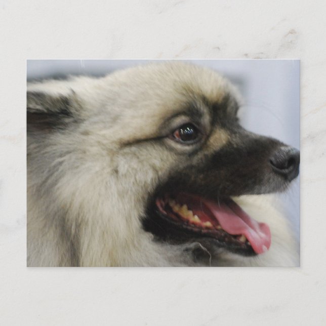 Customise Product Postcard (Front)