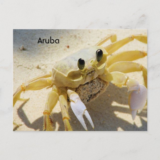 Customise Product Postcard (Front)