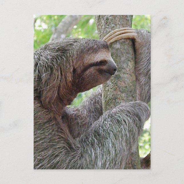 Customise Product Postcard (Front)