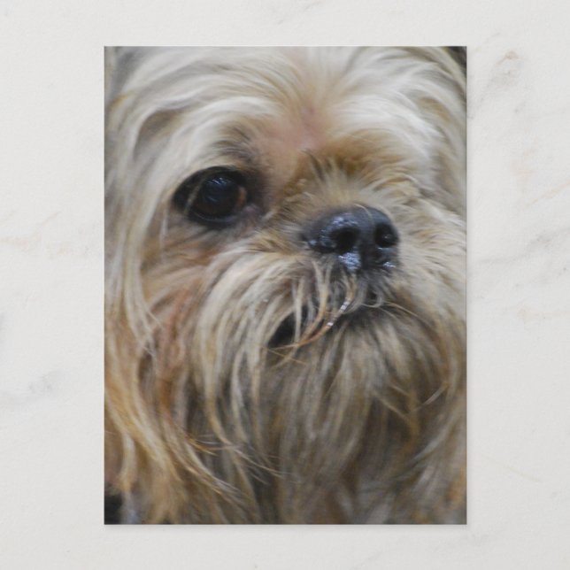 Customise Product Postcard (Front)