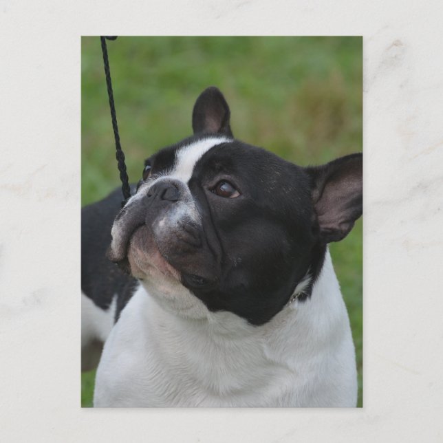 Customise Product Postcard (Front)