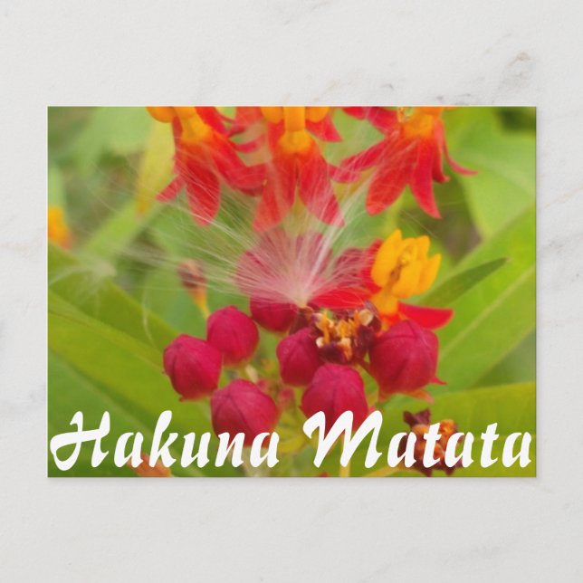 Customise Product Postcard (Front)