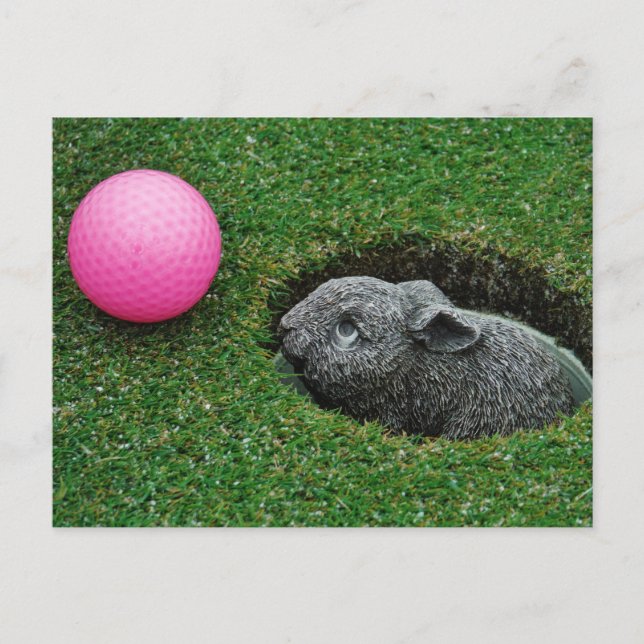 Customise Product Postcard (Front)