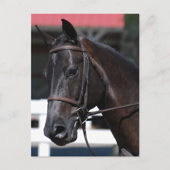 Customise Product Postcard (Front)