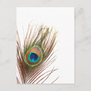 Customise Product Postcard