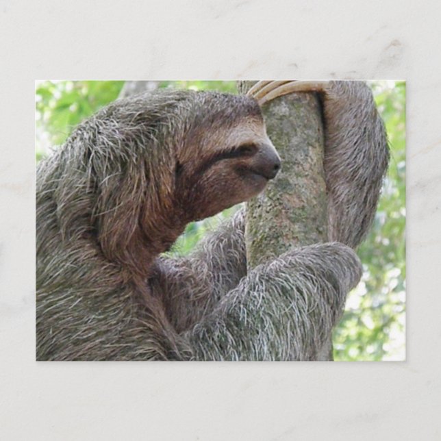 Customise Product Postcard (Front)