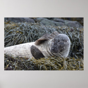 Customise Product Poster