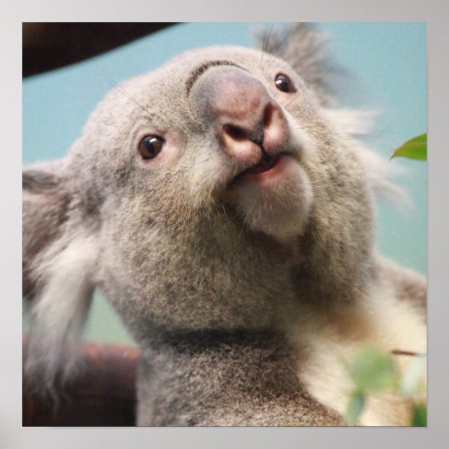 Customise Product Poster (Front)