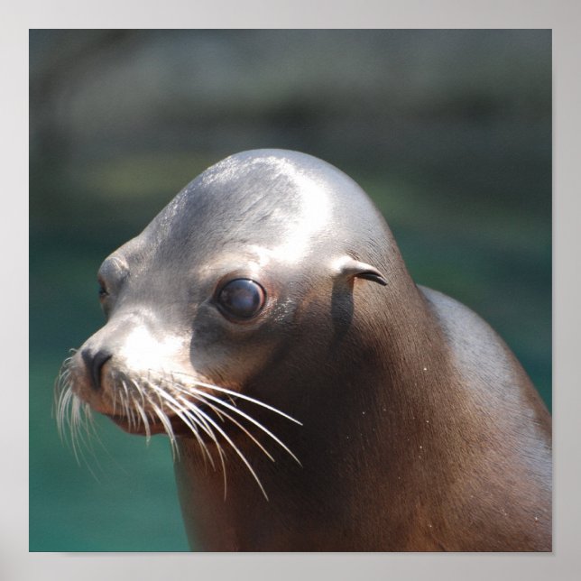 Customise Product Poster (Front)