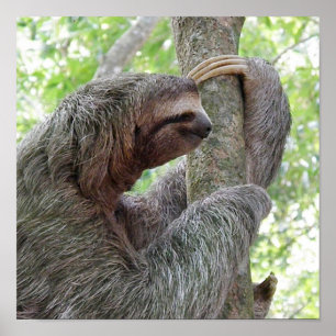 Customise Product Poster