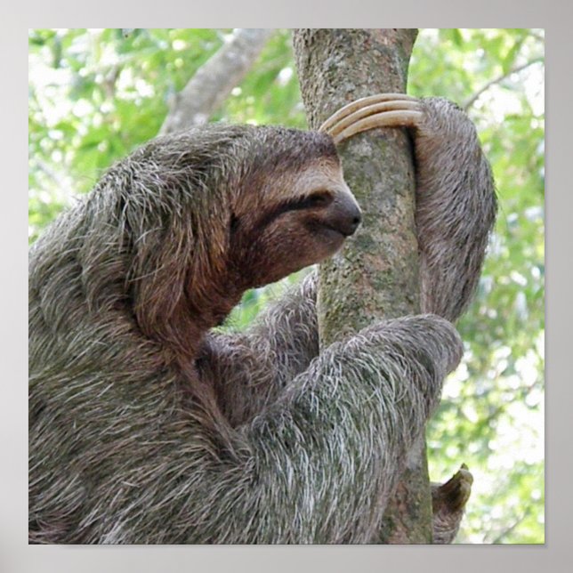 Customise Product Poster (Front)