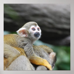 Customise Product Poster