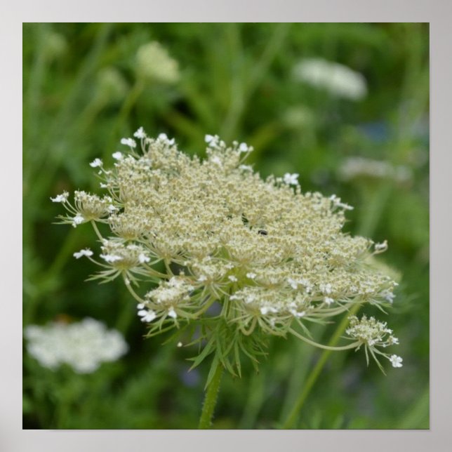 Customise Product Poster (Front)