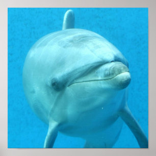 Customise Product Poster