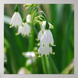 Customise Product Poster