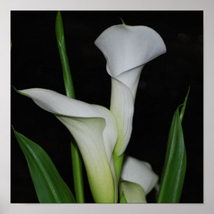 Customise Product Poster