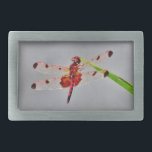 Customise Product Rectangular Belt Buckle<br><div class="desc">Spotted  Red and Black Dragonfly dragon,  fly,  flies,  dragonflies,  dragonflies,  flying,  dragons,  insect,  insects,  garden,  nature,  growth,  plants,  dragonflies and damselflies, serenity ,  fun,  summer,  joy, green orange yellow purple</div>