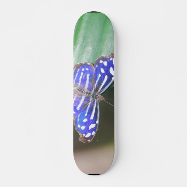 Customise Product Skateboard (Front)