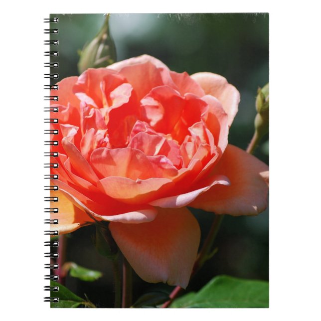 Customise Product Spiral Notebook (Front)