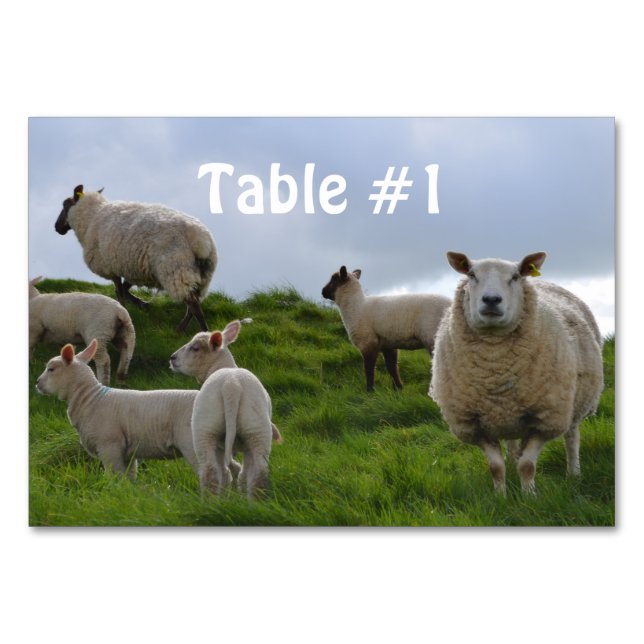 Customise Product Table Number (Front)