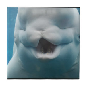 Customise Product Tile