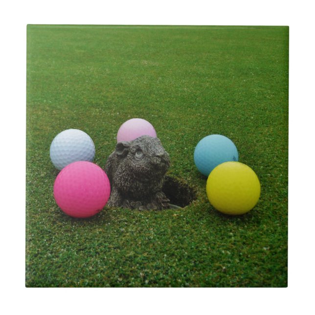 Customise Product Tile (Front)