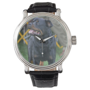 Customise Product Watch
