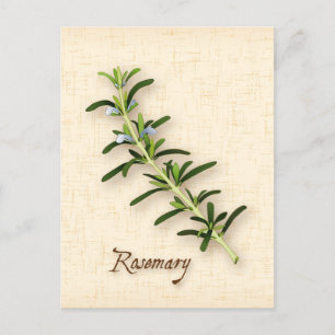 Customise Rosemary Herb Postcard