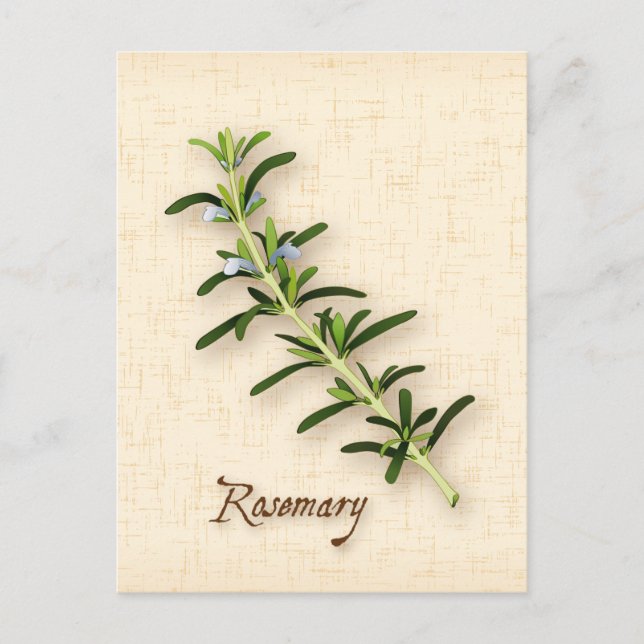 Customise Rosemary Herb Postcard (Front)