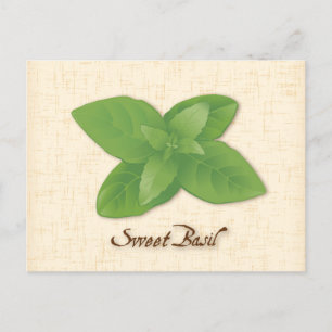 Customise Sweet Basil Postcard