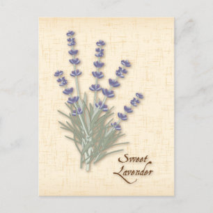Customise Sweet Lavender Postcard