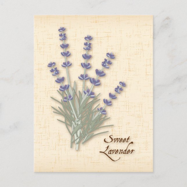 Customise Sweet Lavender Postcard (Front)