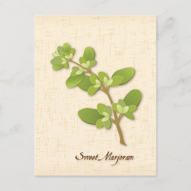 Customise Sweet Marjoram Postcard (Front)