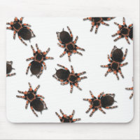 Customise Tarantulas